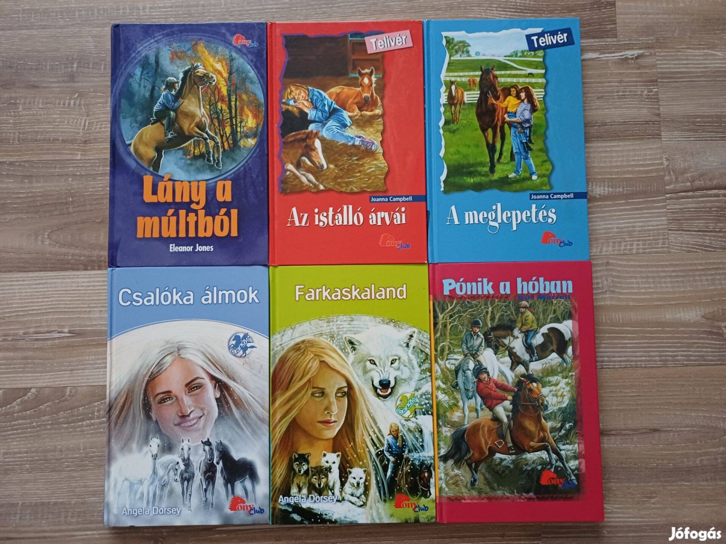 Pony Club lovas könyvek