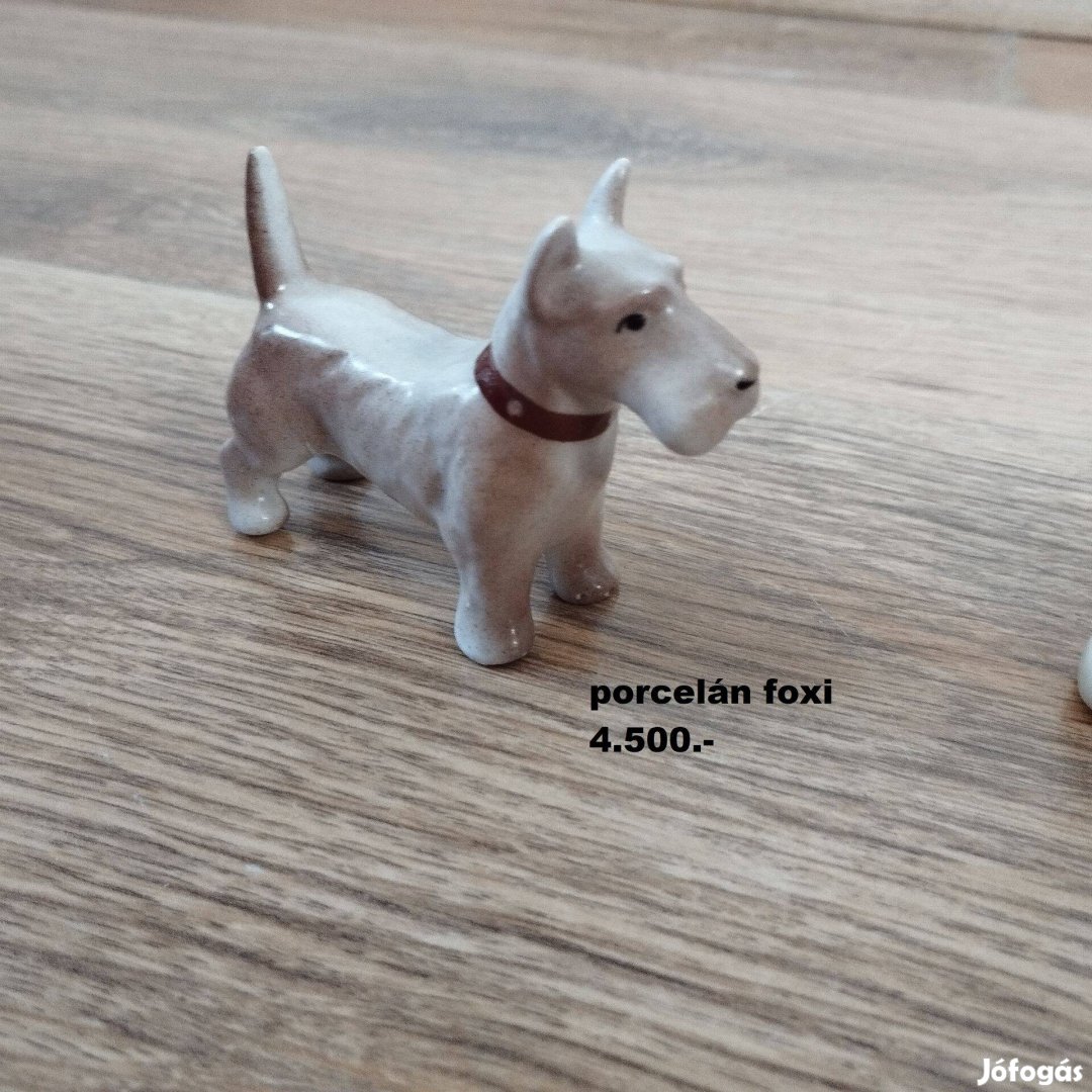 Porcelán foxi kutya