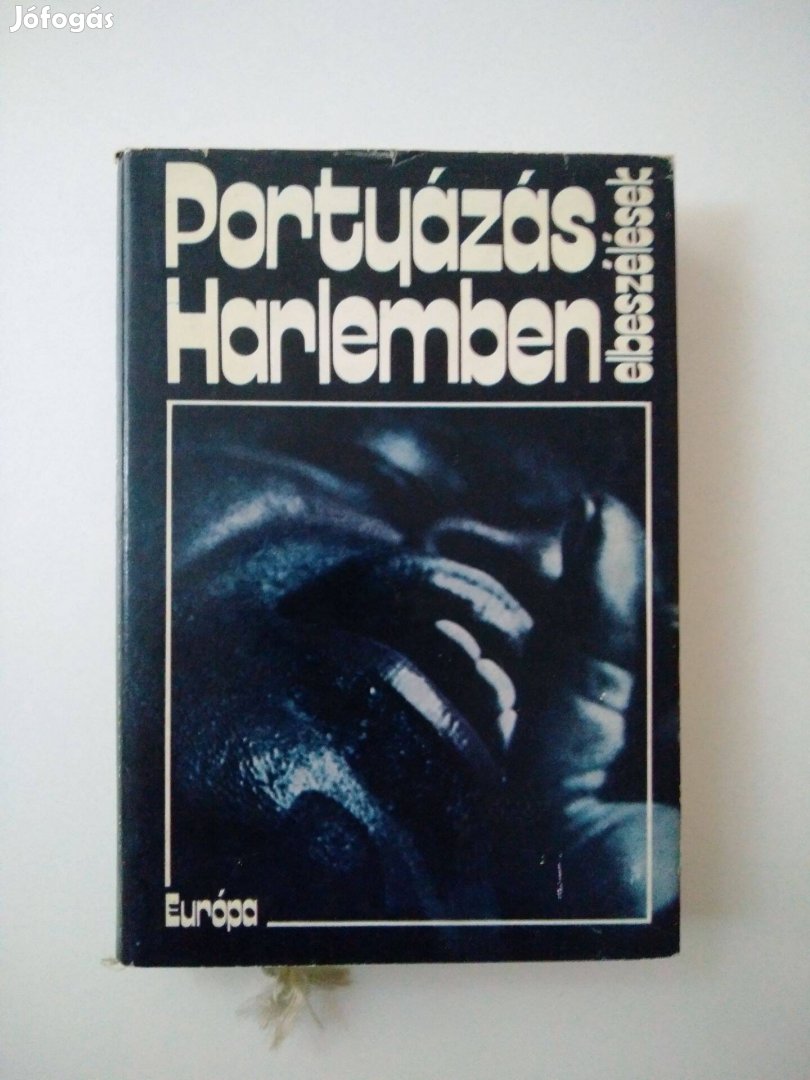 Portyázás Harlemben - elbeszélések