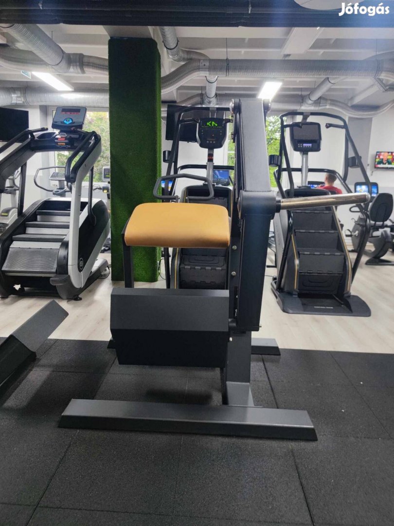 Power Life Farizom gép (Life Fitness, Cybex, Technogym)