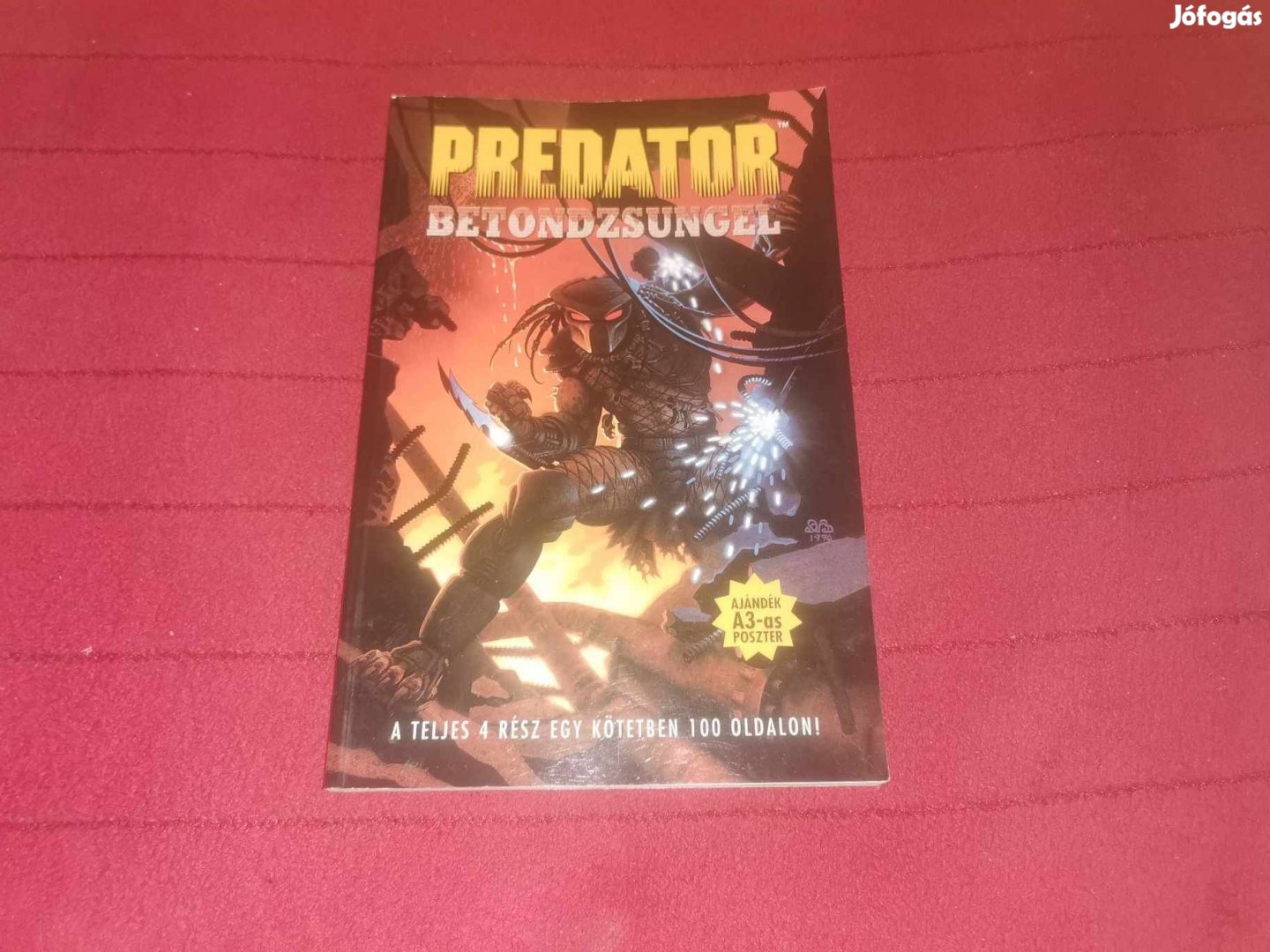 Predator 1-4. Betondzsungel