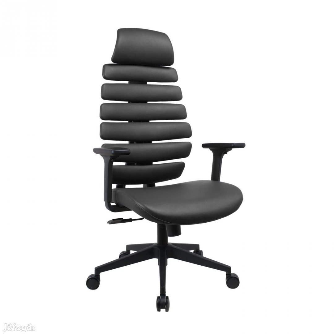 Prémium ergonomikus, irodai szék, forgószék, fekete (SK-728H BLACK)