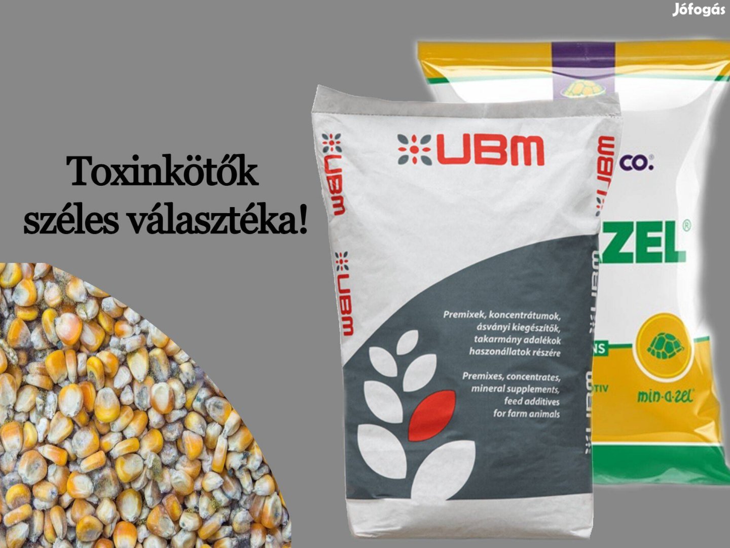 Prémium toxinkötő! UBI Bind PLus Dry