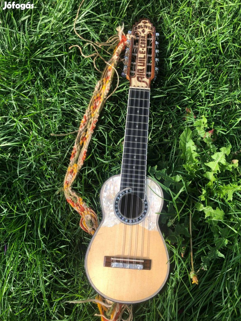 Professional concert Charango