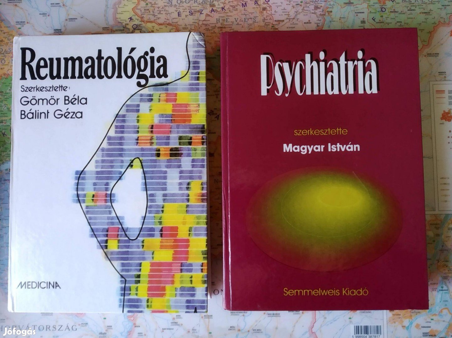 Psychiatria Magyar István (szerk.) Semmelweis Kiadó,