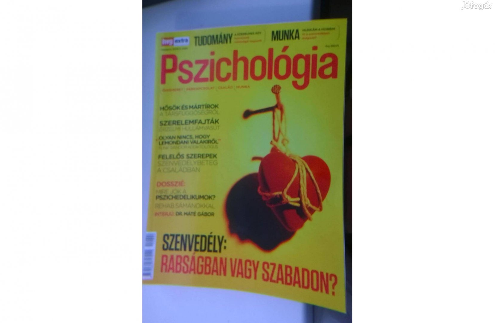 Pszichológia magazin - Tudomány , munka , újszerű állapotú