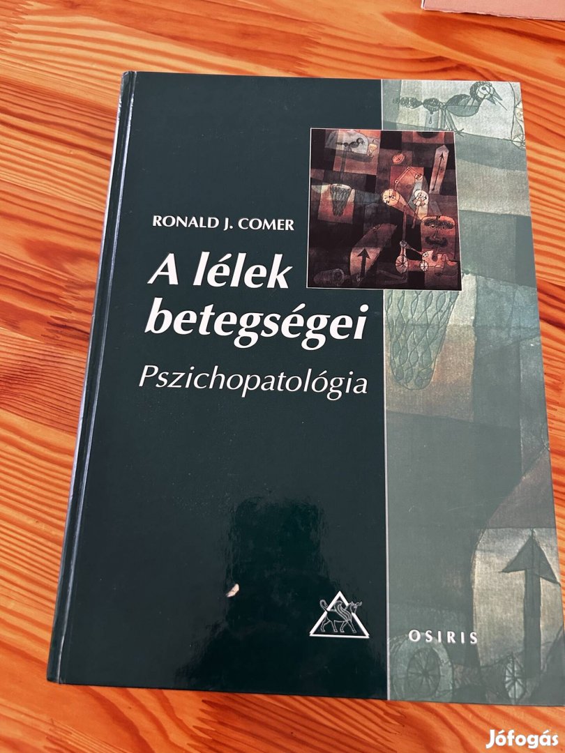 Pszichopatológia - A lélek betegségei Comer könyv