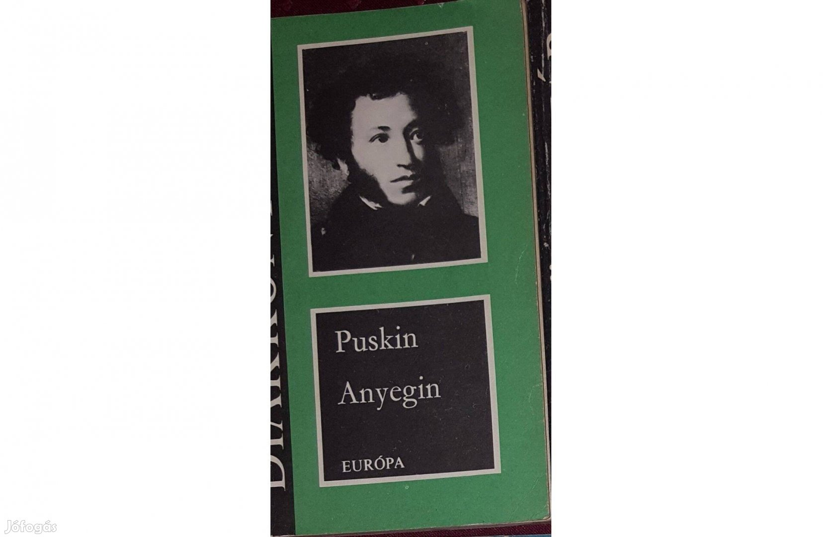 Puskin: Anyegin