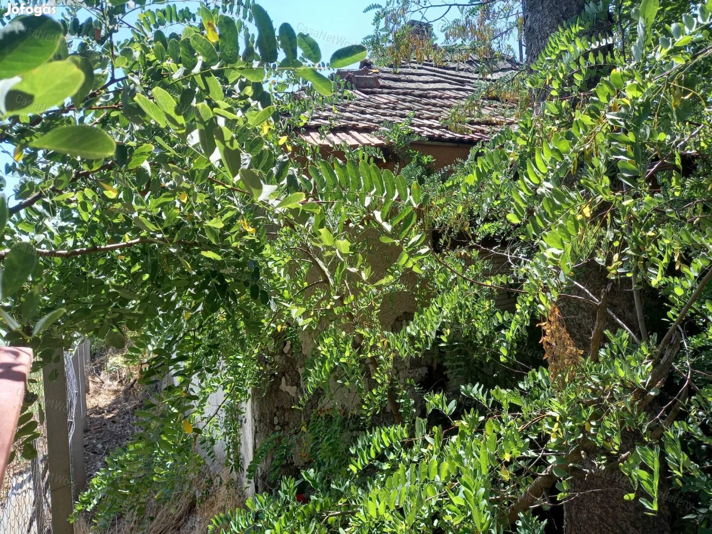 Pusztamonostoron eladó egy 1439 nm-es építési telek.