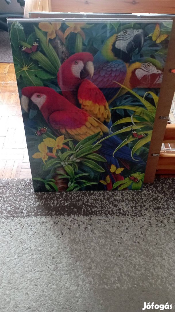 Puzzle képkeretek,1000 db-os hoz,több darab!50x70 cm