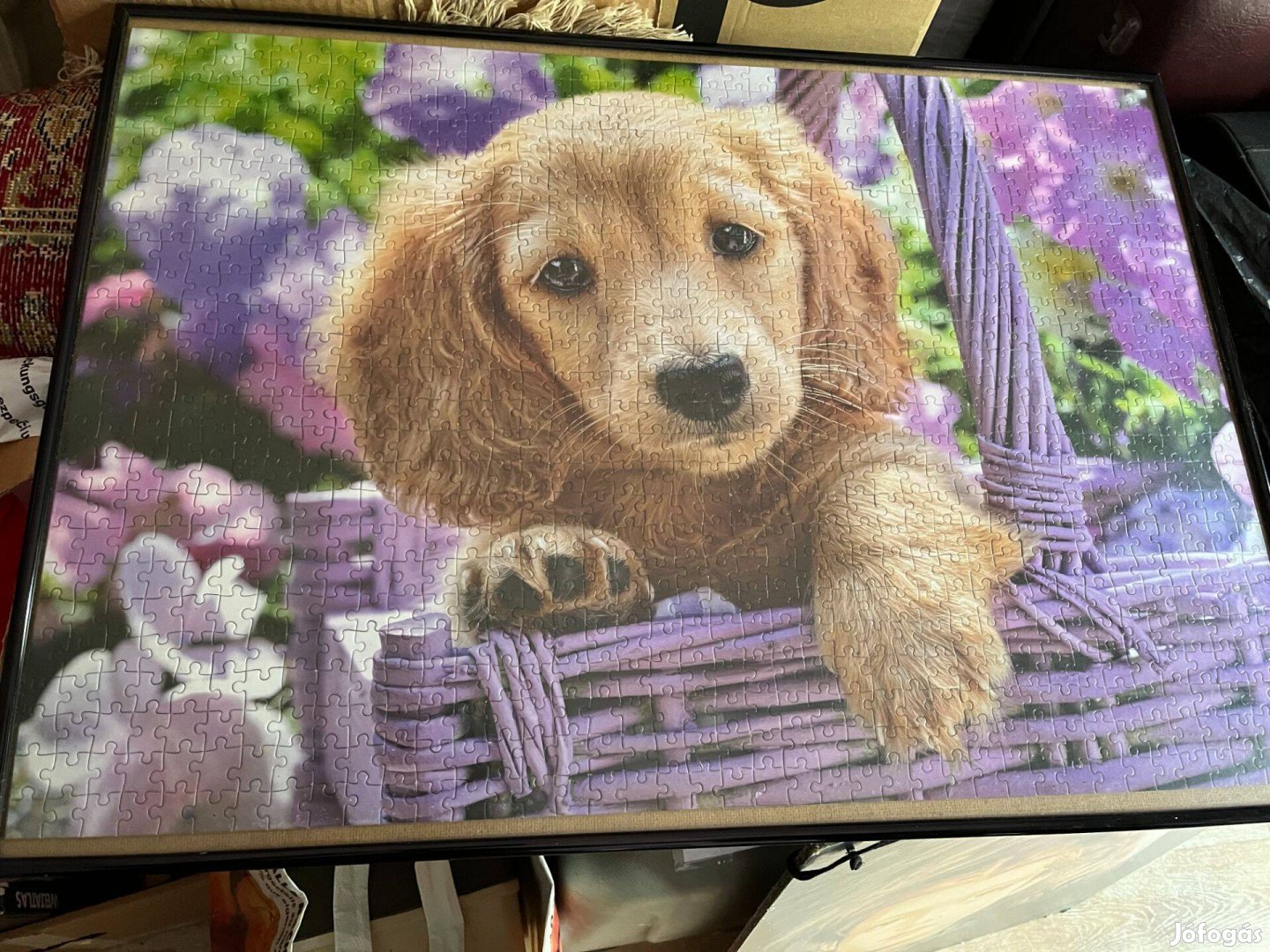 Puzzle kutyakép keretben