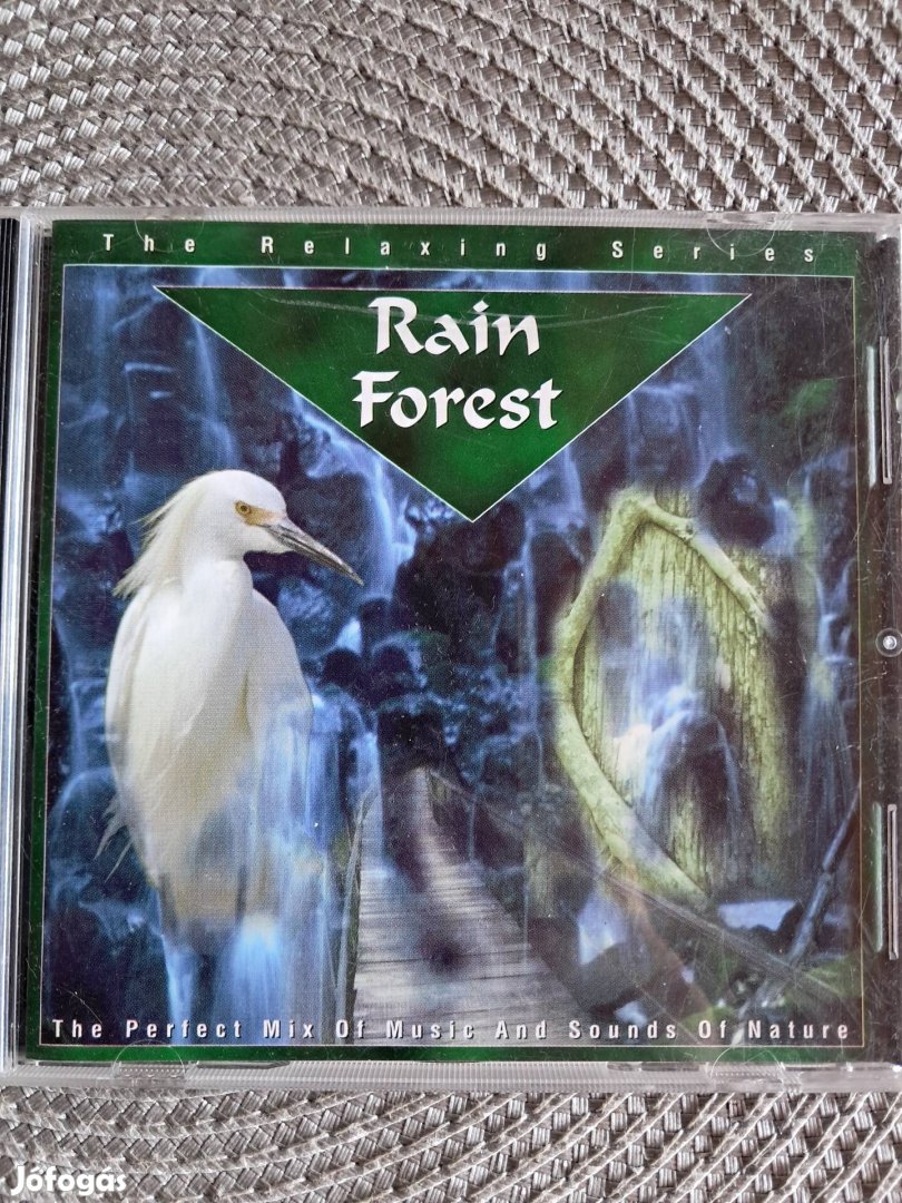 RAIN Forest The Perfect OF Music