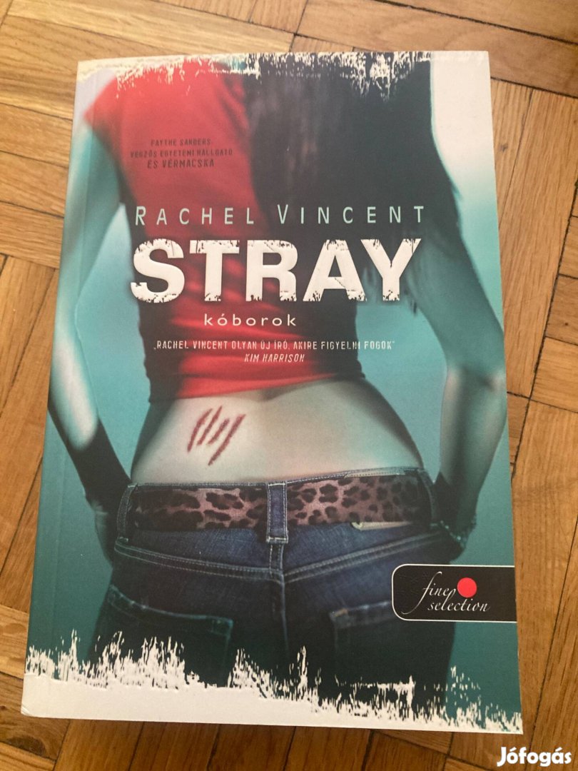 Rachel Vincent stray kóborok