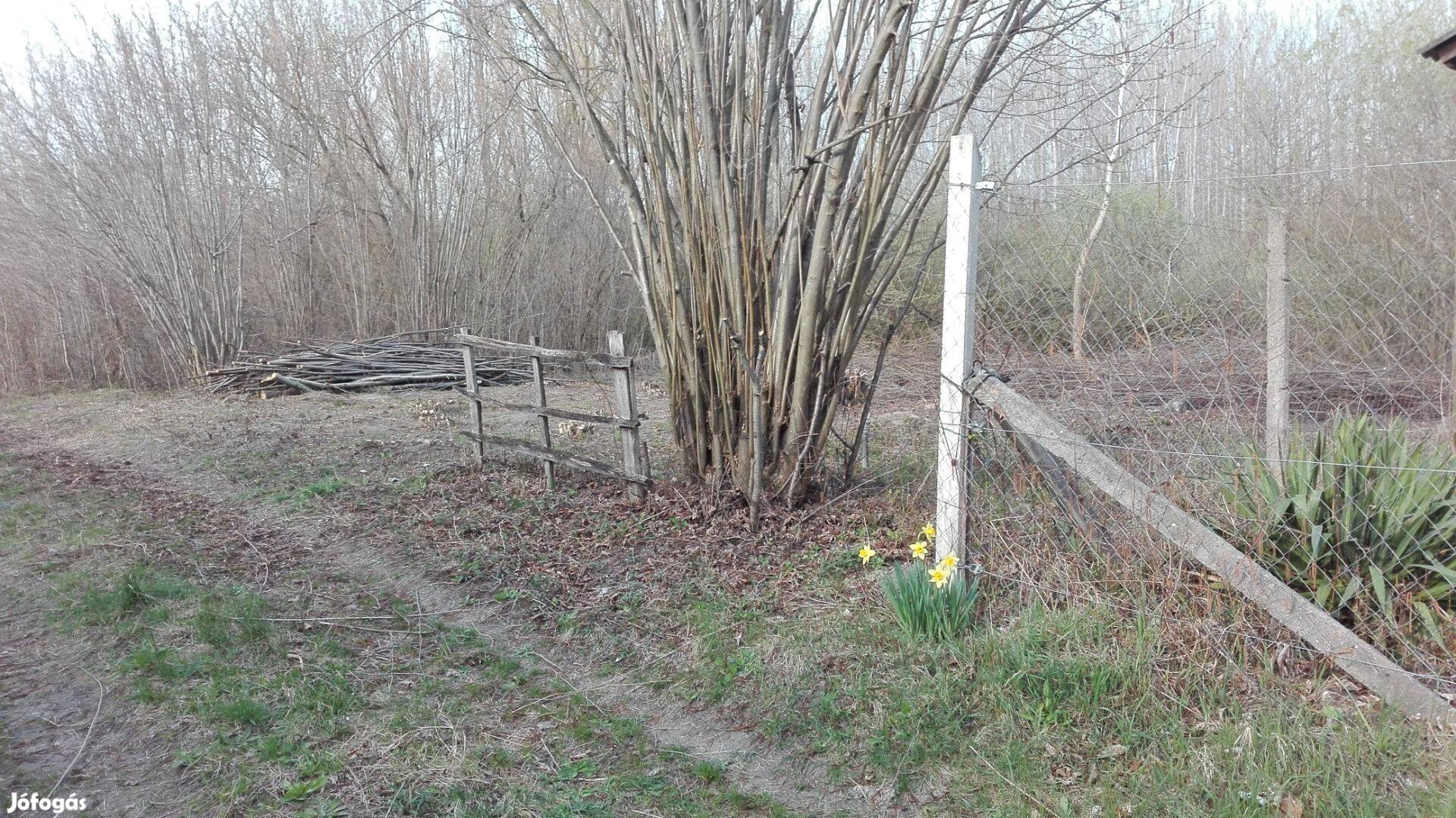 Ráckeve Somlyó-sziget telek eladó