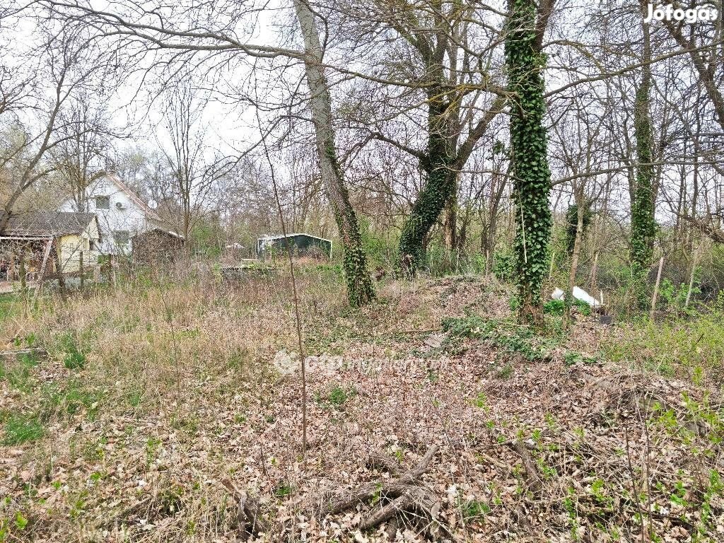 Ráckevei 444 nm-es telek eladó