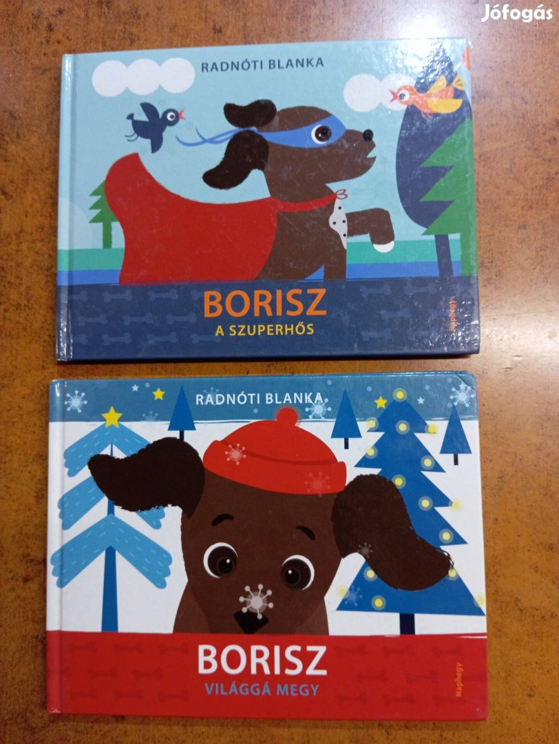 Radnóti Blanka Borisz a szuperhős Borisz világgá megy mesekönyv