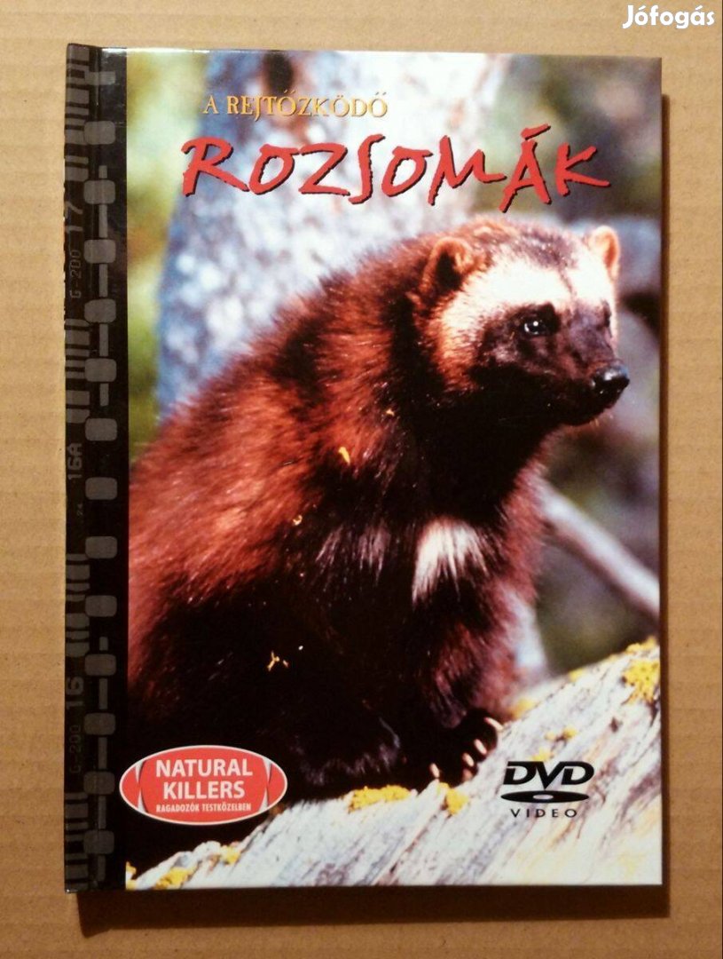 Ragadozók Testközelben 23. A Rejtőzködő Rozsomák (DVD) jogtiszta