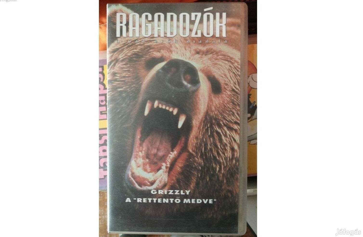 Ragadozók VHS Grizzly, a "rettentő medve". Debrecenben