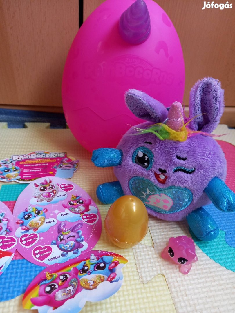 Rainbocorn nyúl első kézből tojásban 
