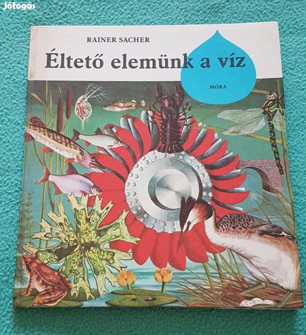 Rainer Sacher - Éltető elemünk a víz könyv