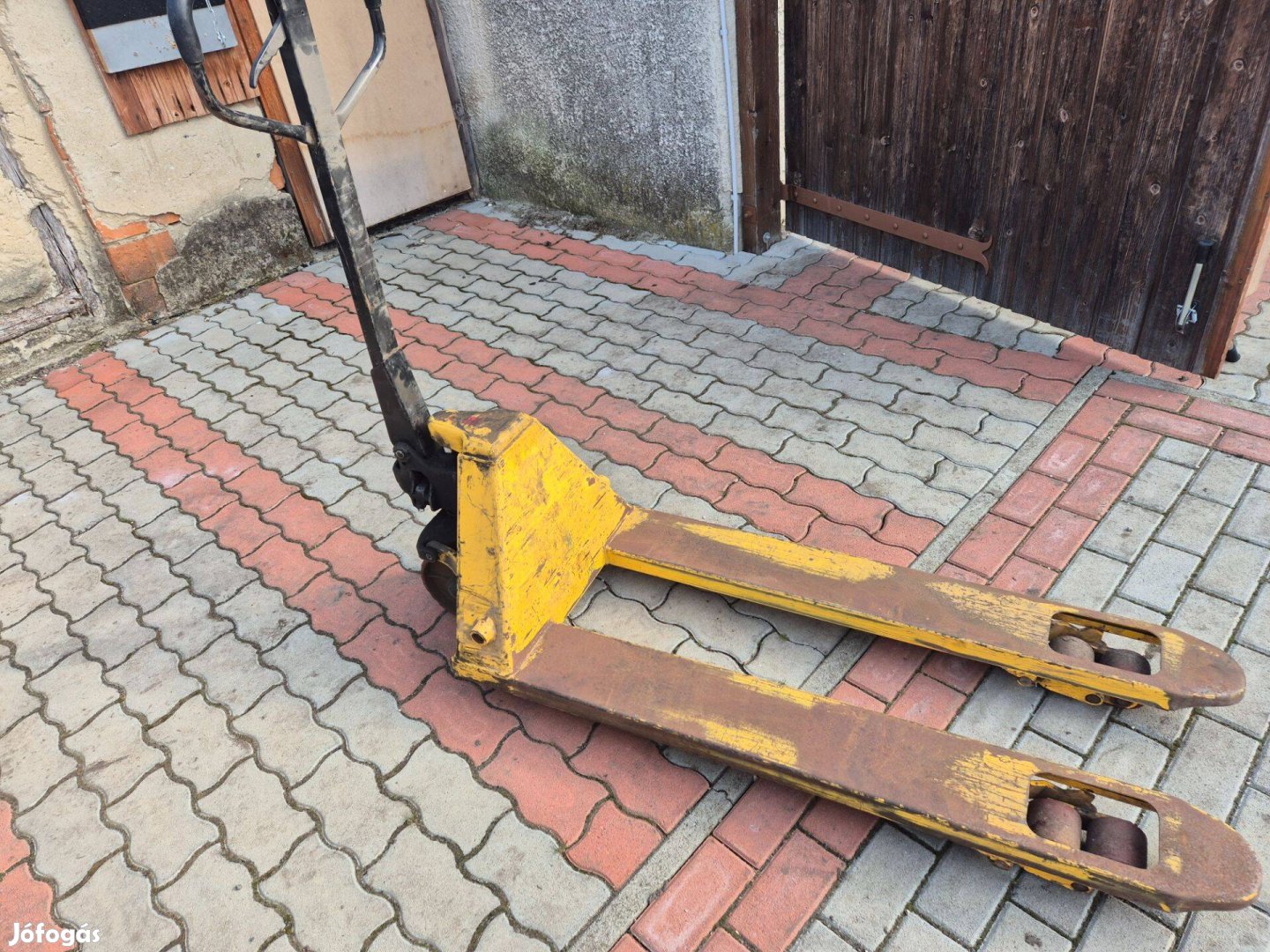 Raklapemelő béka
