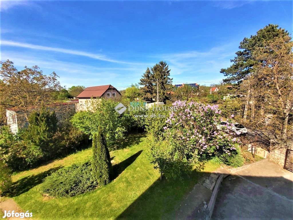 Rákosliget villanegyedében