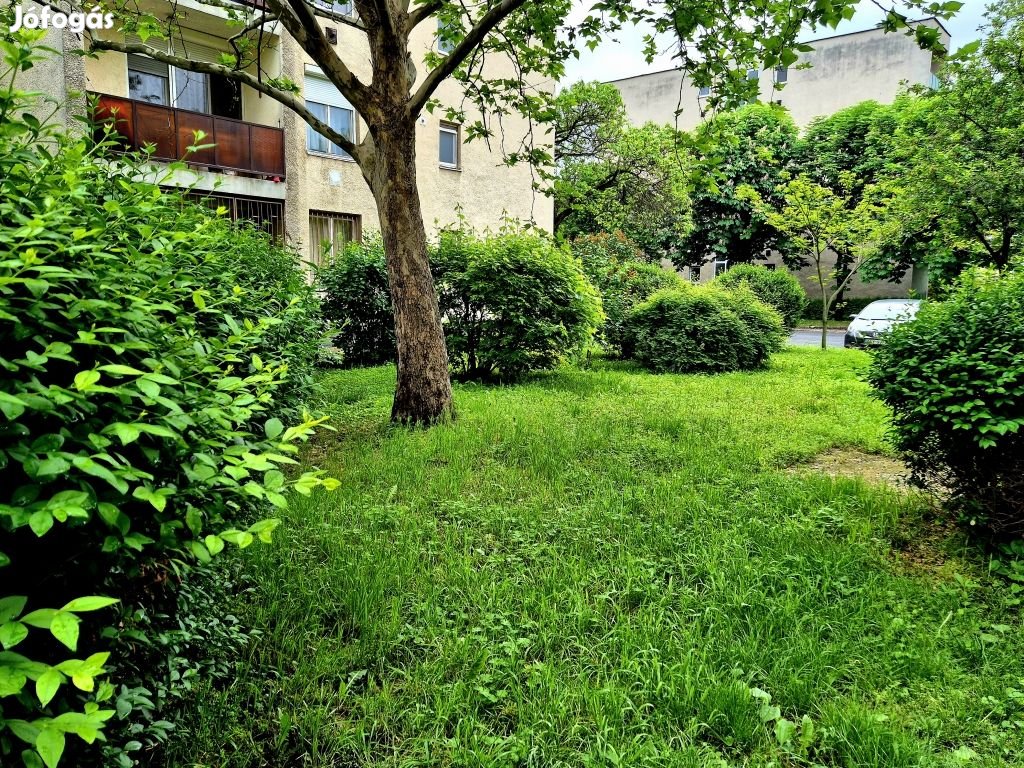 Rákospalotán, PARKOS környezetben garzon AUTÓBEÁLLÓVAL