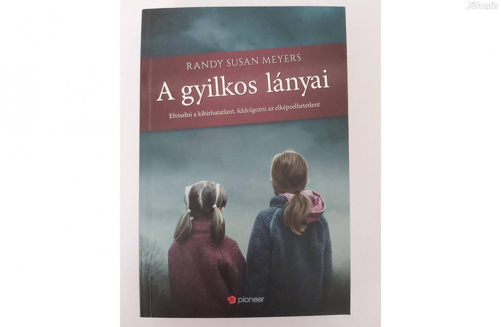 Randy Susan Meyers: A gyilkos lányai