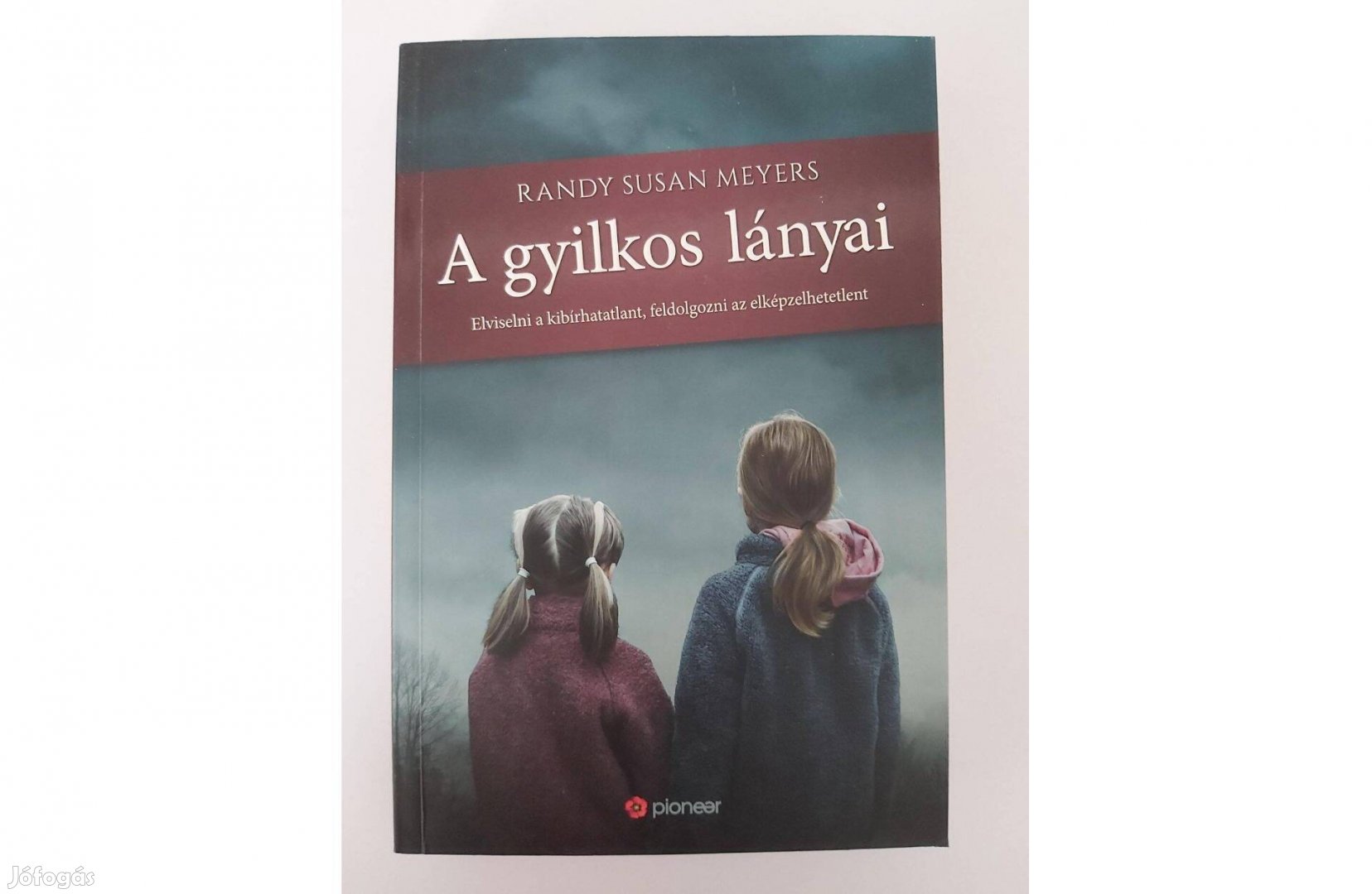 Randy Susan Meyers A gyilkos lányai