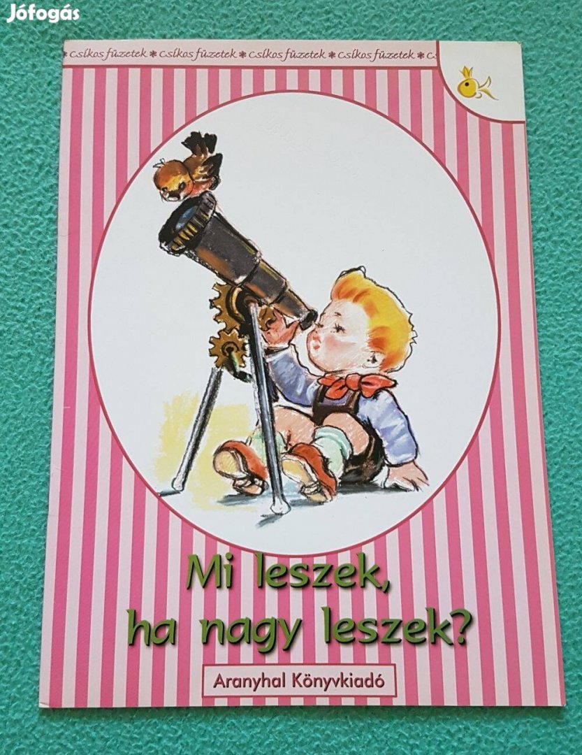 Rangáné Lovas Ágnes: Csíkos füzetek - Mi leszek, ha nagy leszek?