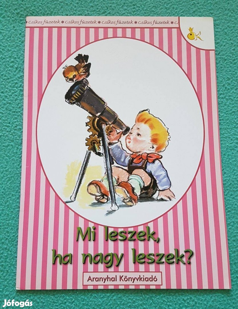 Rangáné Lovas Ágnes - Mi leszek, ha nagy leszek? Csíkos