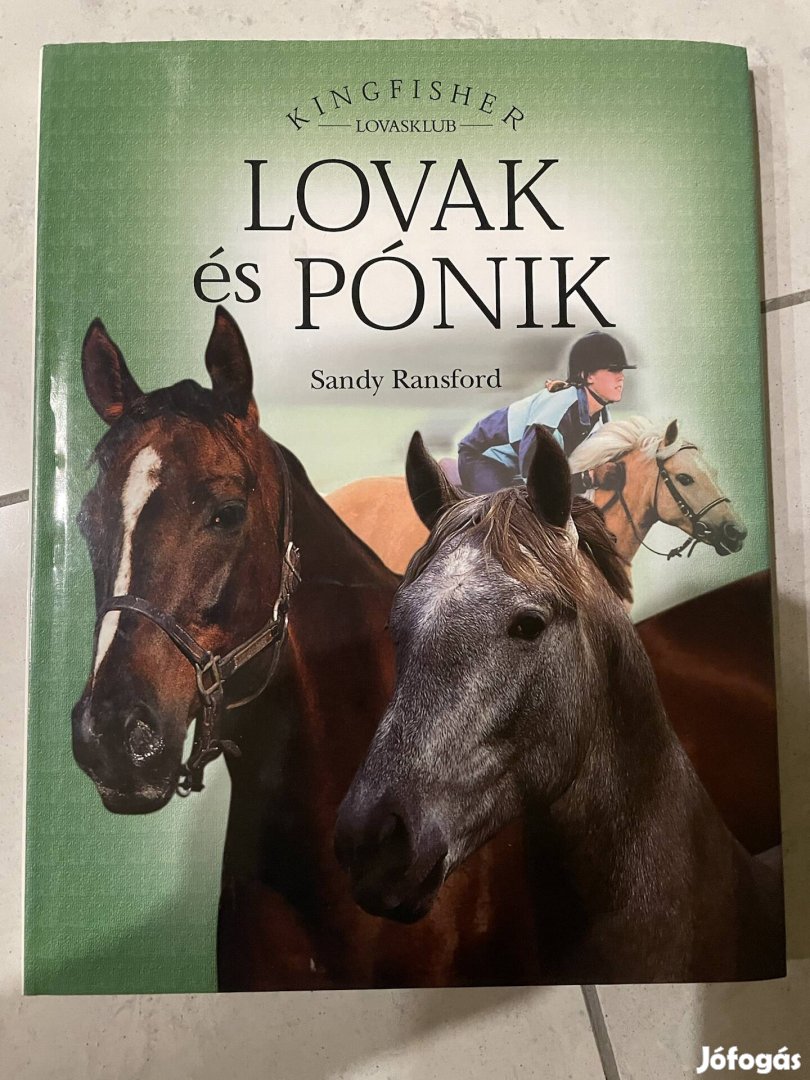 Ransford, Sandy Lovak és pónik