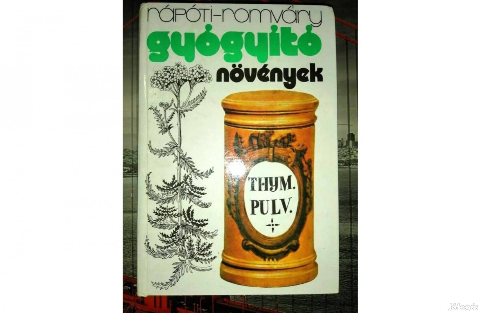 Rápóti - Romváry: Gyógyító növények