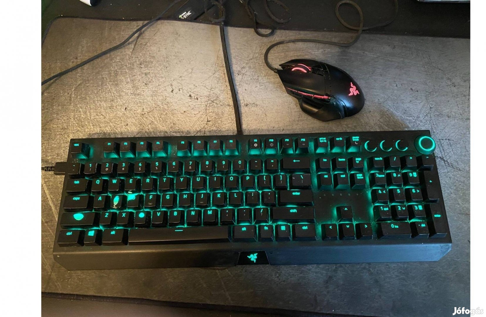 Razer Blackwidow Elite gaming keybord + mouse