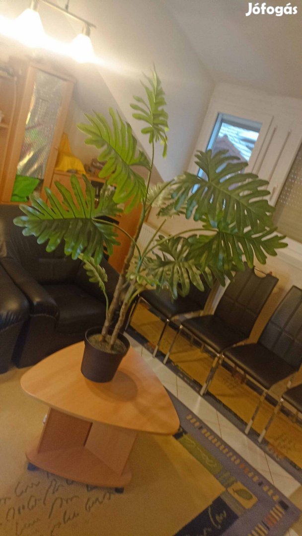 Realisztikus valósághű mű dísznövények