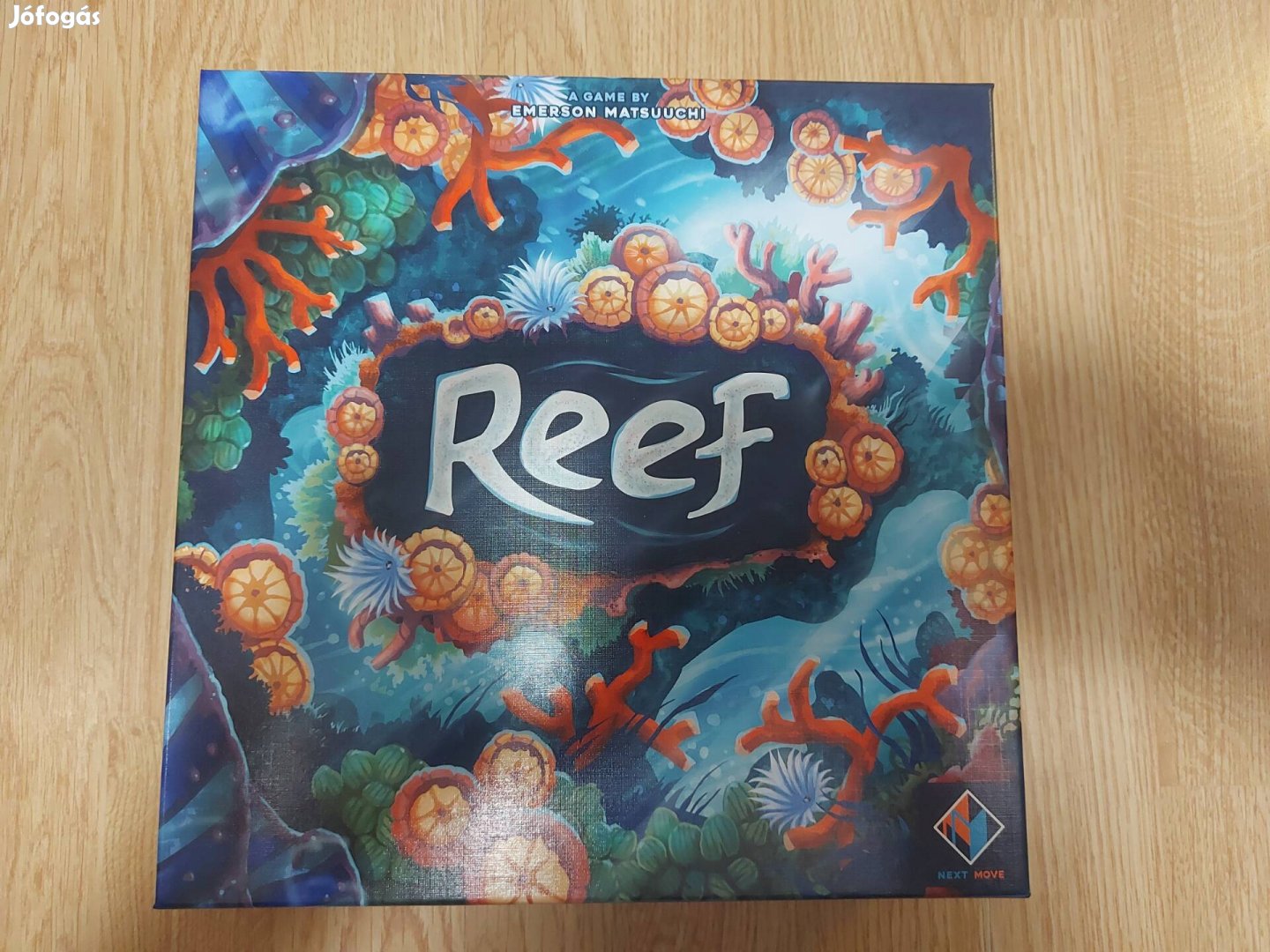 Reef társasjáték/angol nyelfüggetlen/