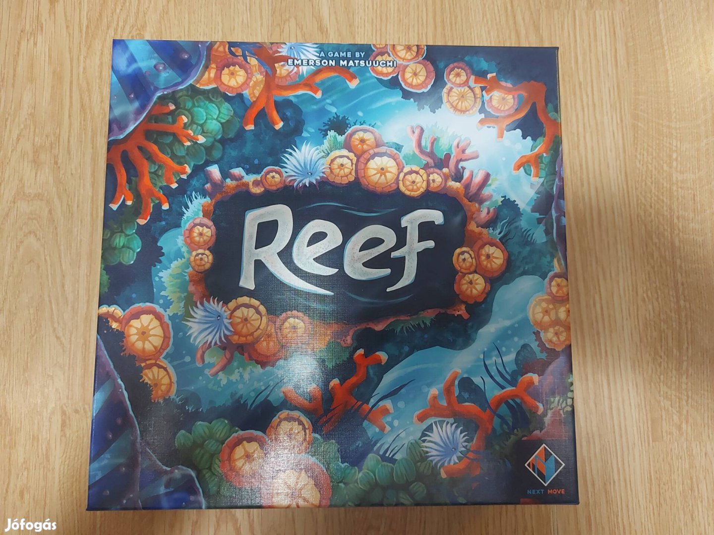 Reef társasjáték angol nyelvfüggetlen 
