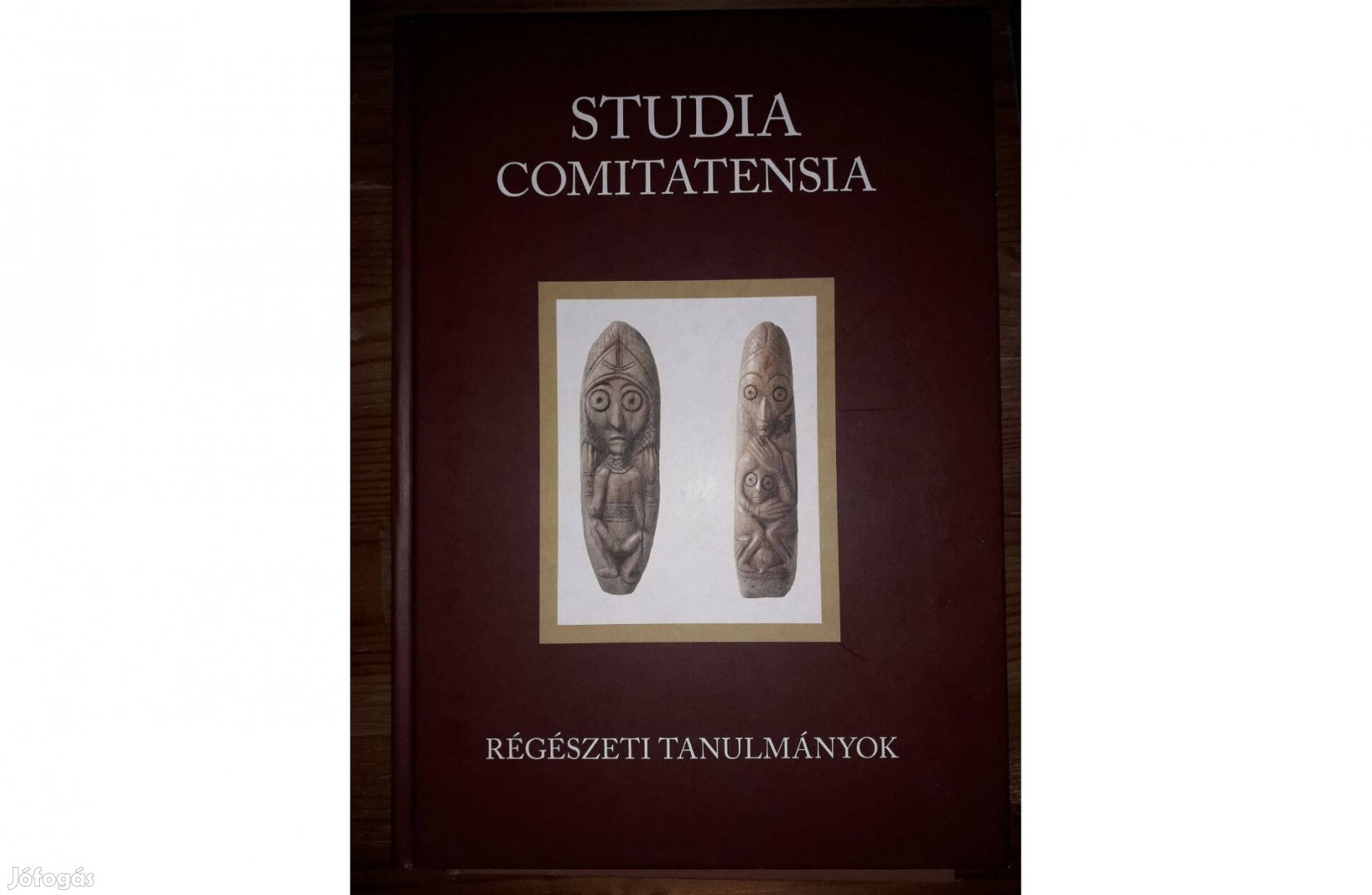 Régészeti tanulmányok Studia Comitatensia 31