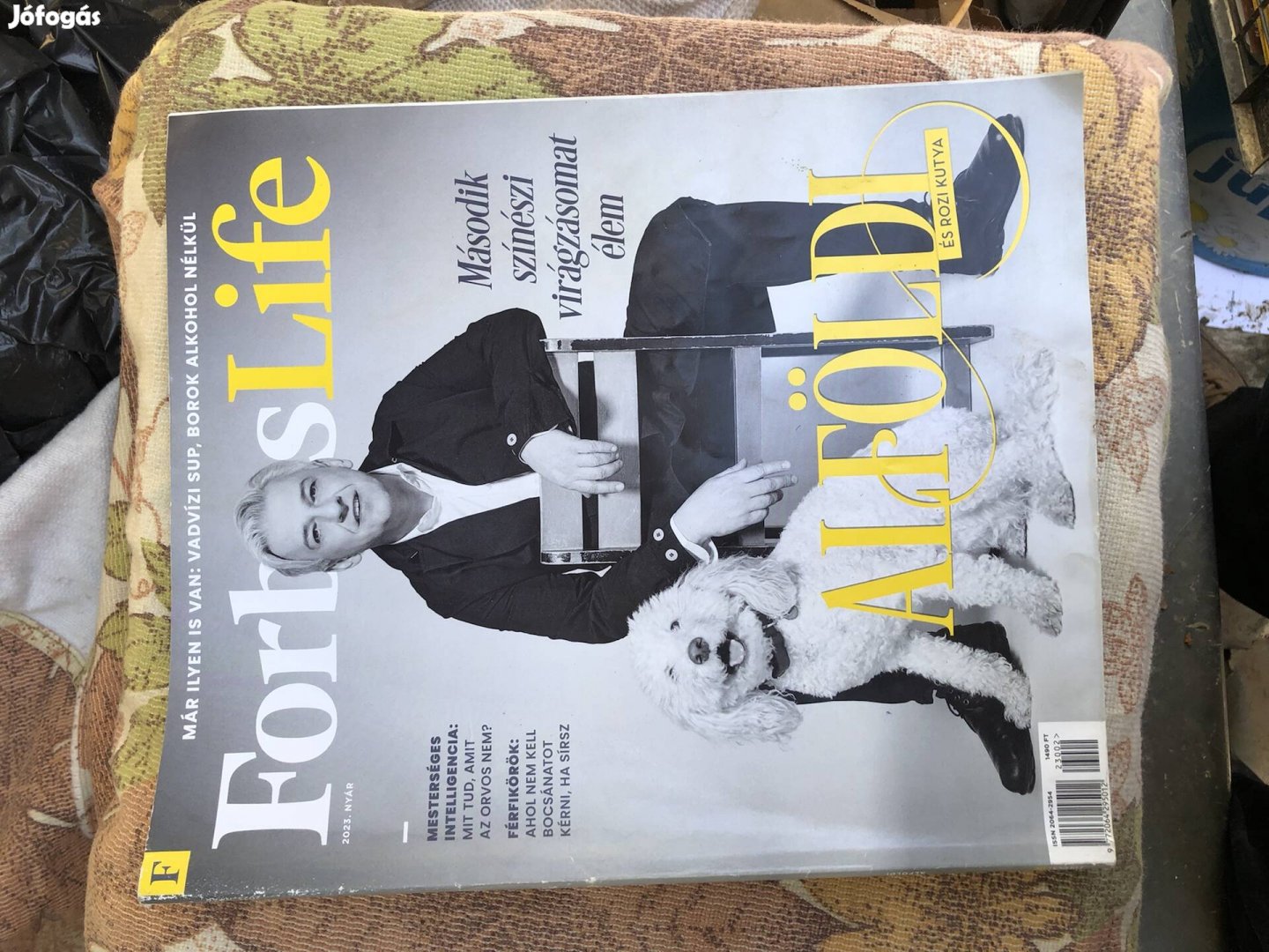 Régi Forbes Life magazin 1000 Ft