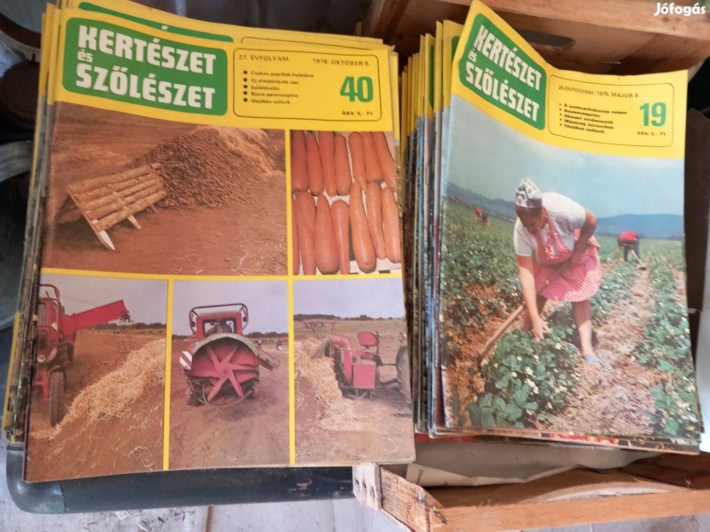 Régi Kertészet Szőlészet újság magazin a 60-70-es évekből