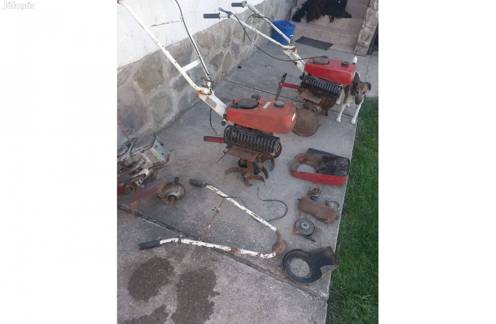 Régi Robi 55 rotációs kapák eladóak lehetőleg egyben