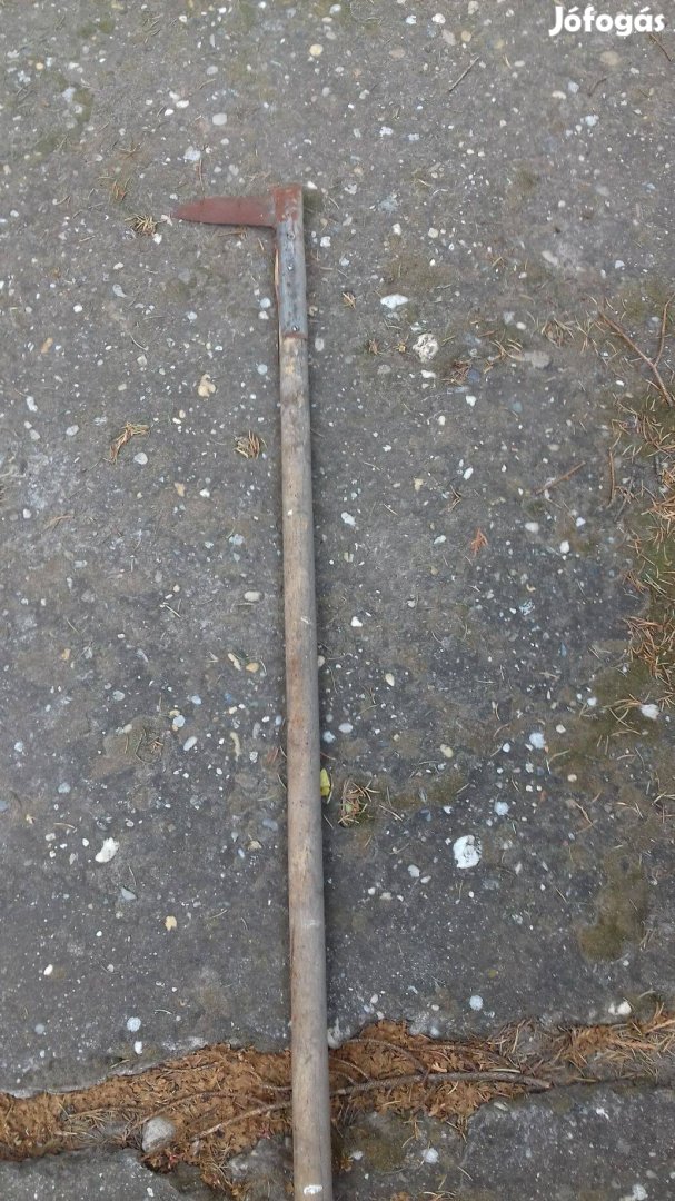 Régi mezőgazdasági szerszám kézi vas nádvágó nyéllel