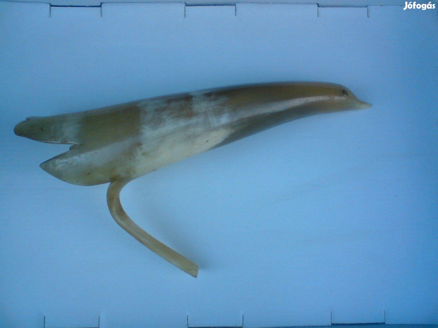 Régi szaru - szaru madár talp nélkül