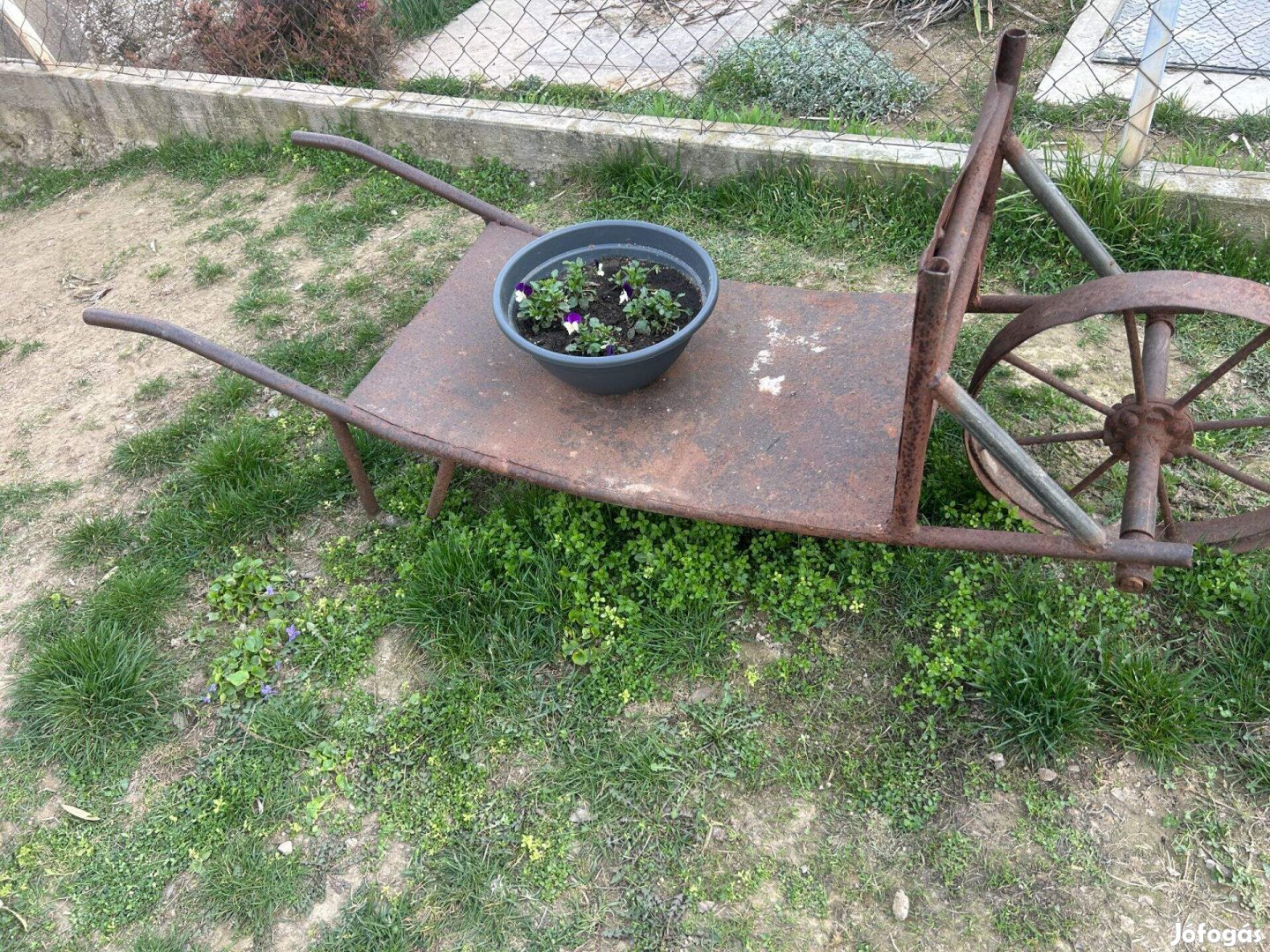 Régi vas talicska trógli tragacs dekorációnak vagy
