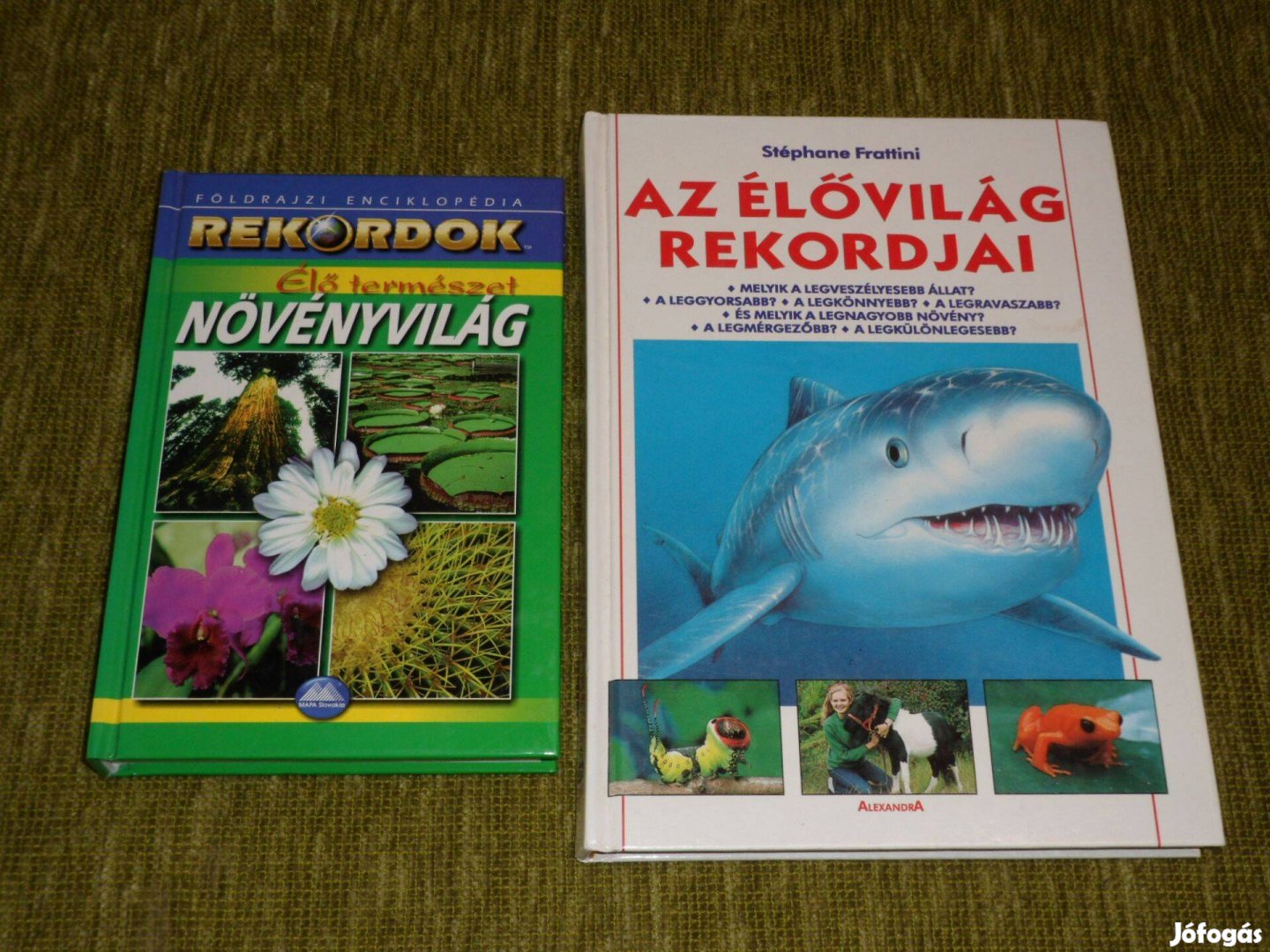 Rekordok: Élő természet - Növényvilág + Az élővilág rekordjai