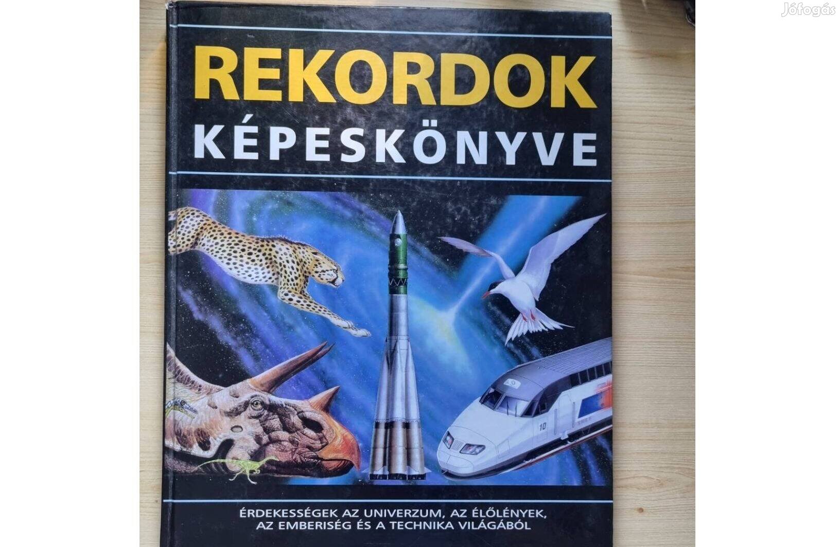 Rekordok képeskönyve