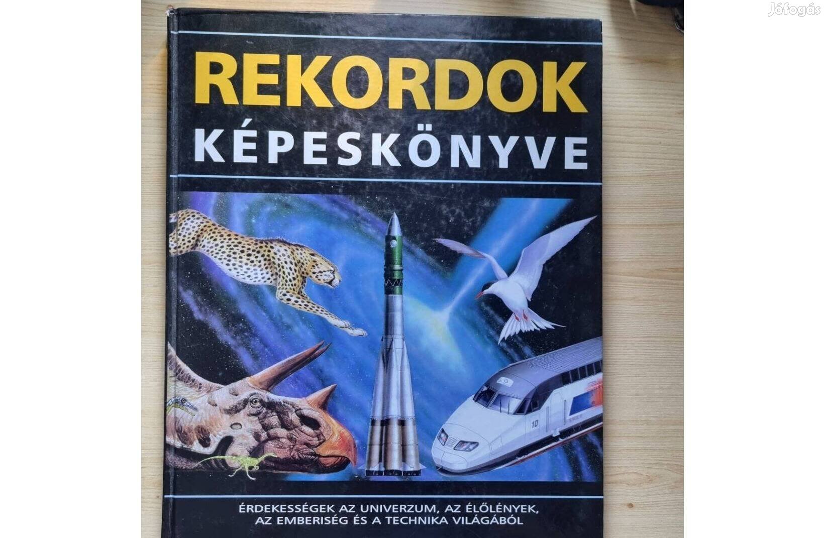 Rekordok képeskönyve