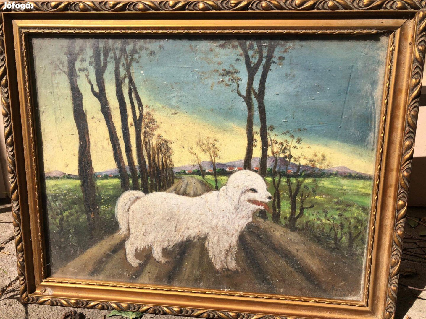 Rém kuvasz kutya olaj festmény fatáblán szép keretben szignós Marosi J