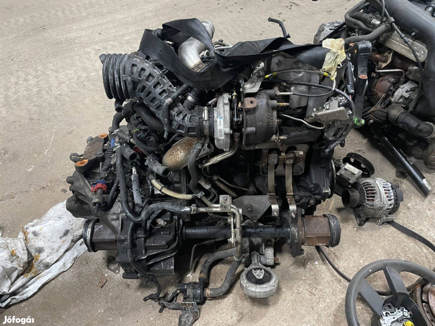 Renault Koleos 2.0dci motor M9RG832