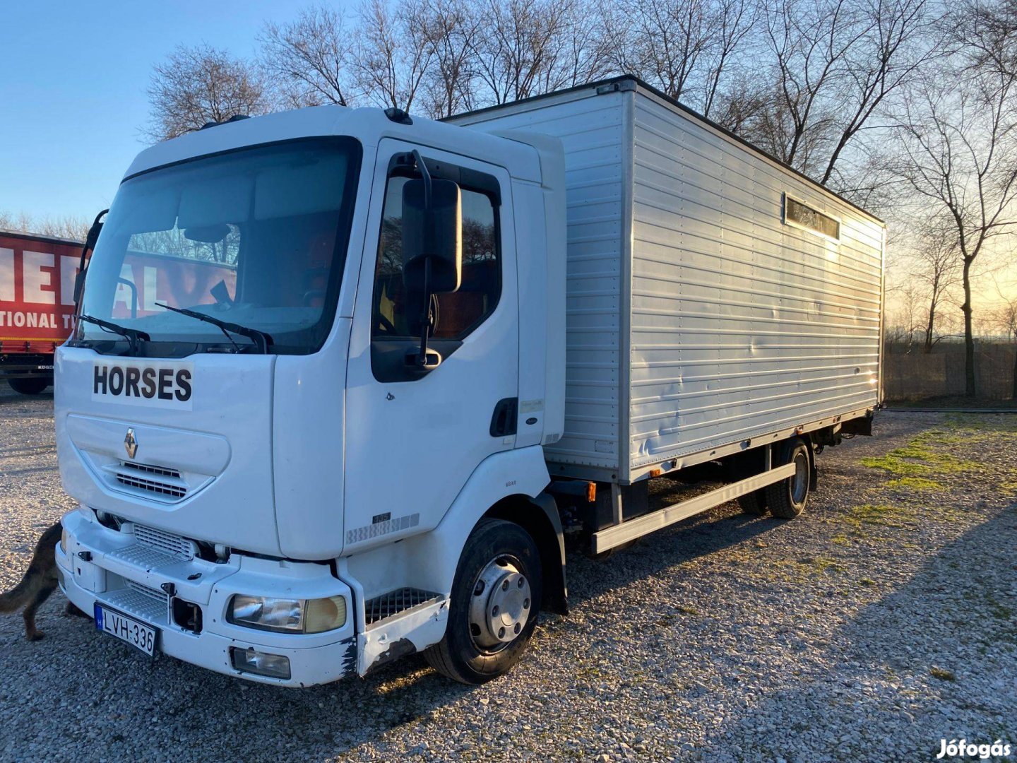 Renault Midlum 135.8 Élőállat szállító ló szállító